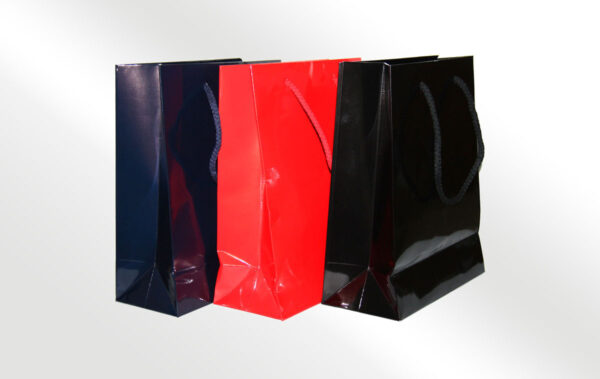 Buste Shopper - Lux Gloss